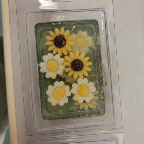 Kids Summer Camp Soap Making Classes